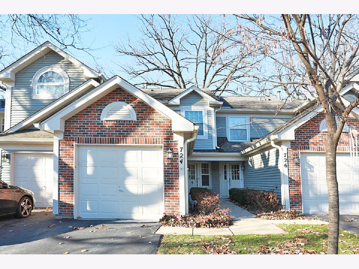 Townhomes & Condos & Homes Rented Cobblers Crossing Elgin Illinois, 724 Shady Oaks