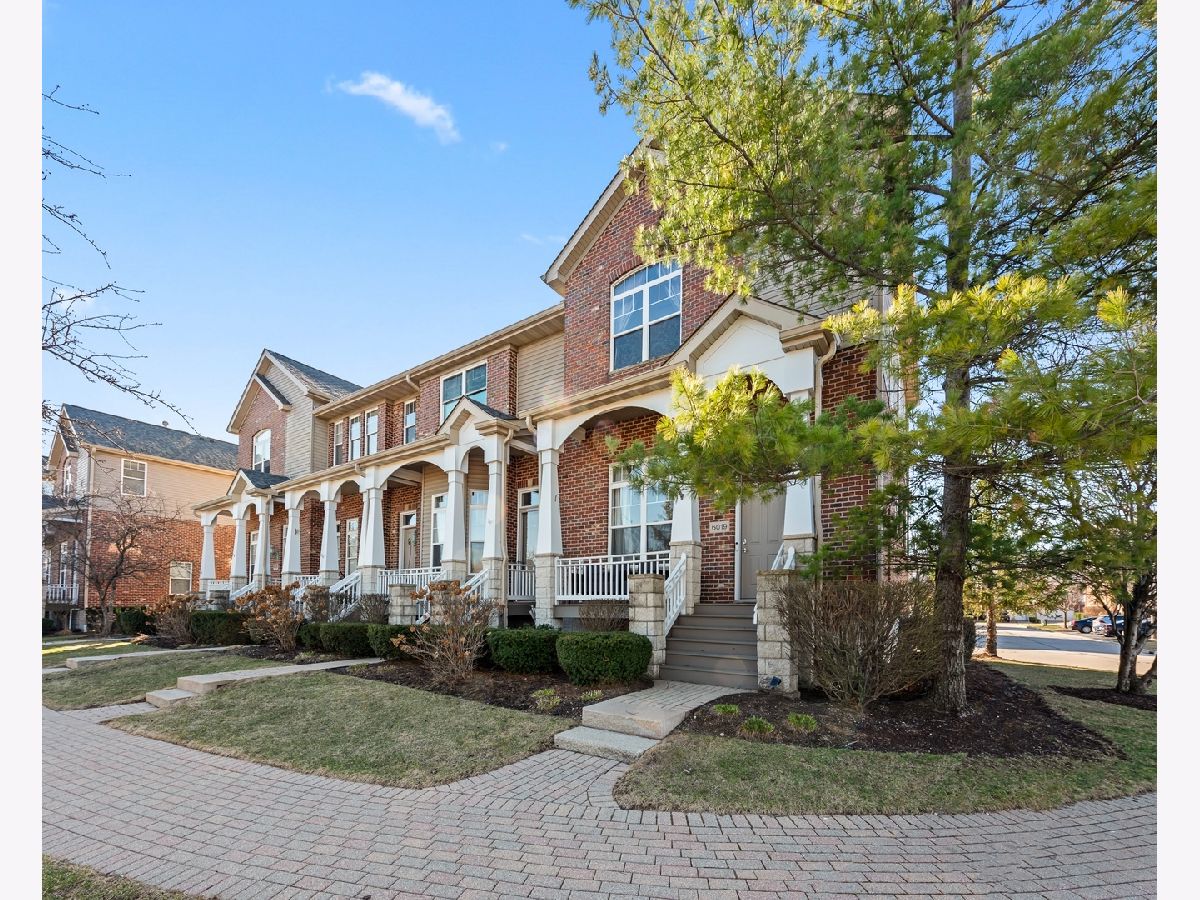 Townhomes & Homes Sold River Bend Lisle Illinois, 6019 River Bend