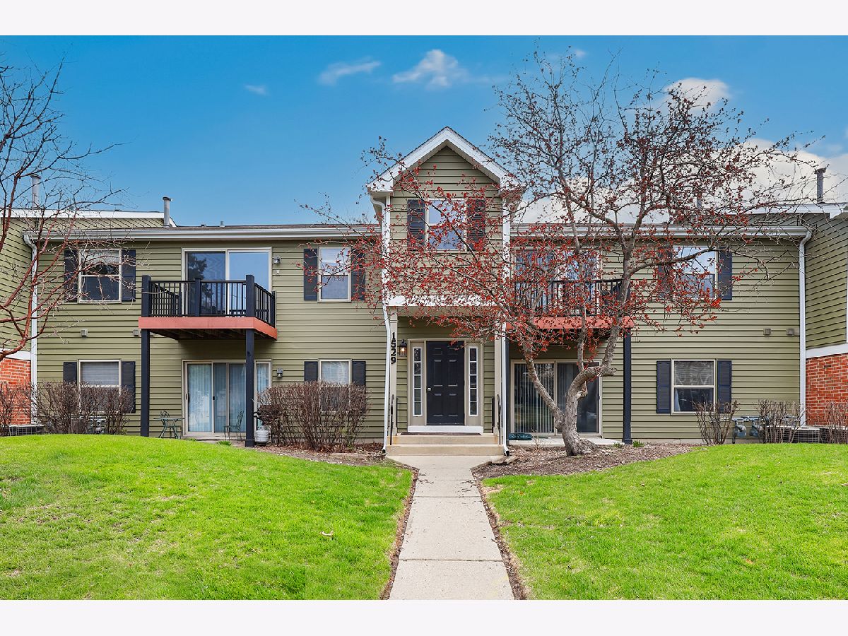 Condominiums Sold Chantecleer Lakes Naperville Illinois, 1529 Raymond