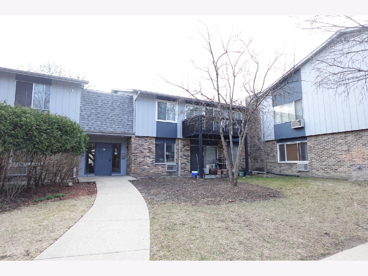 Condominiums Sold Willow Woods Prospect Heights Illinois, 918 Old Willow