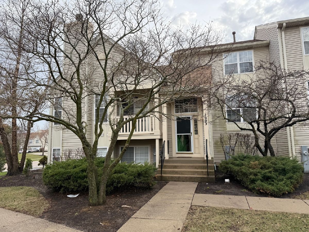 Townhomes & Homes Sold Greystone Gurnee Illinois, 1603 Silvergate