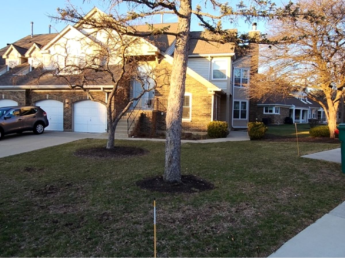 Townhomes & Condos & Homes Rented Woodlands Of Fiore Buffalo Grove Illinois, 225 Willow