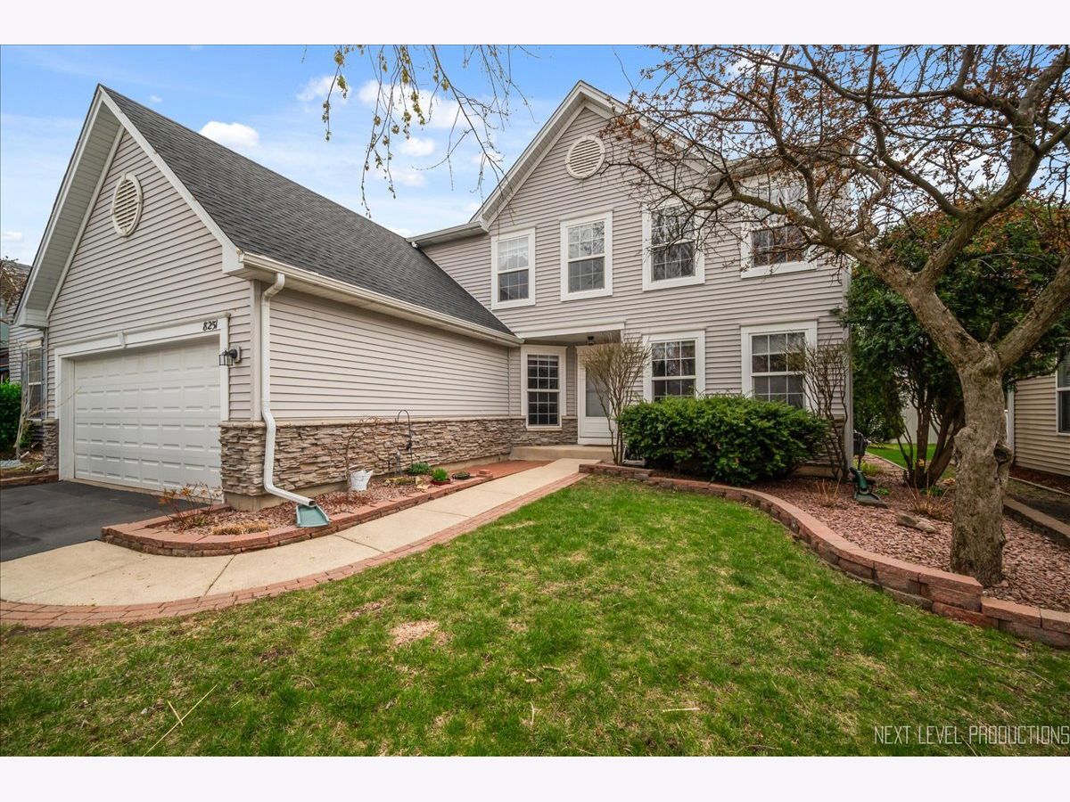 Homes Sold Doves Landing Woodridge Illinois, 8251 Mourning Dove