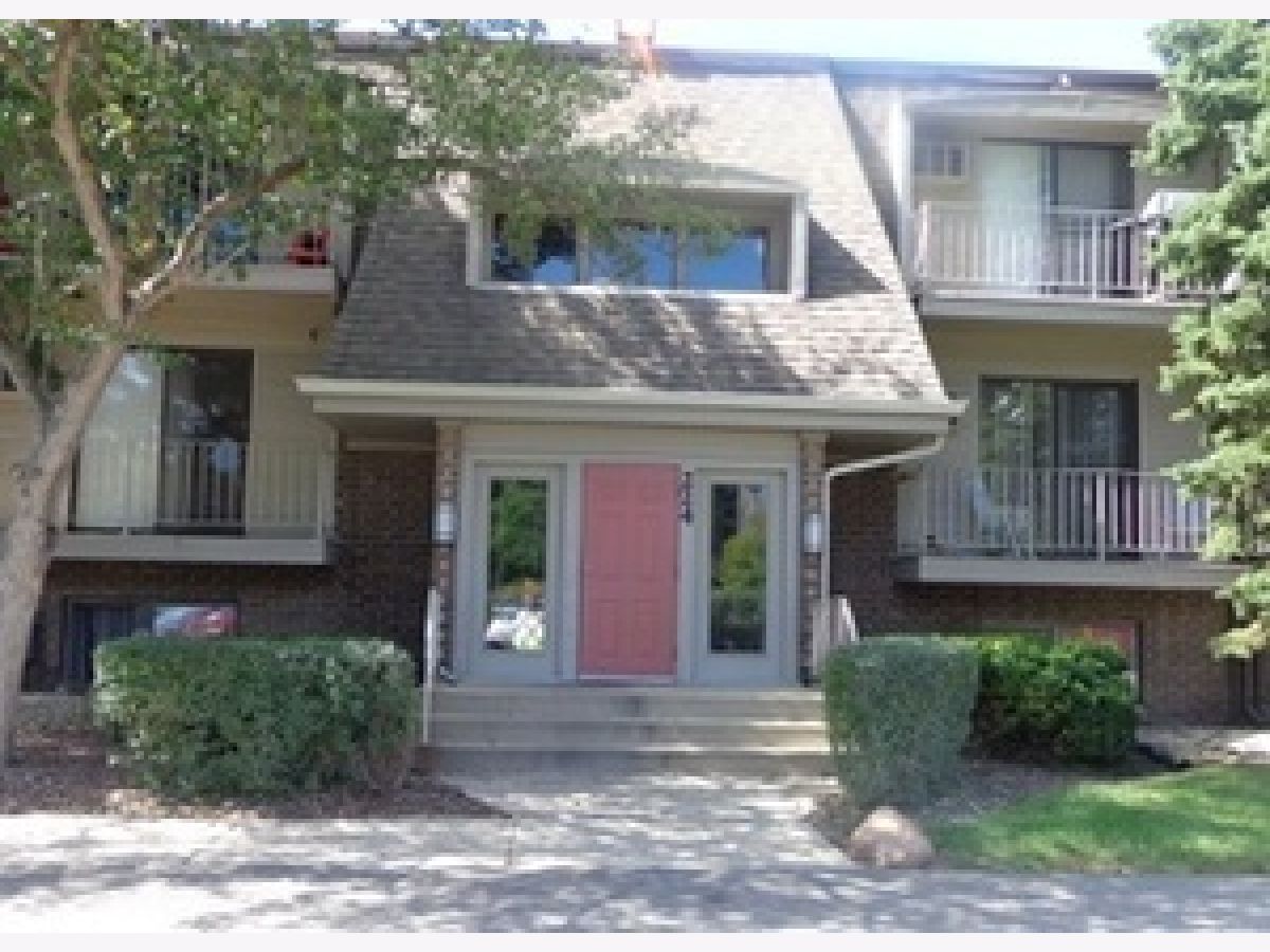 Condominiums Rented Olive Trees Naperville Illinois, 224 Bailey