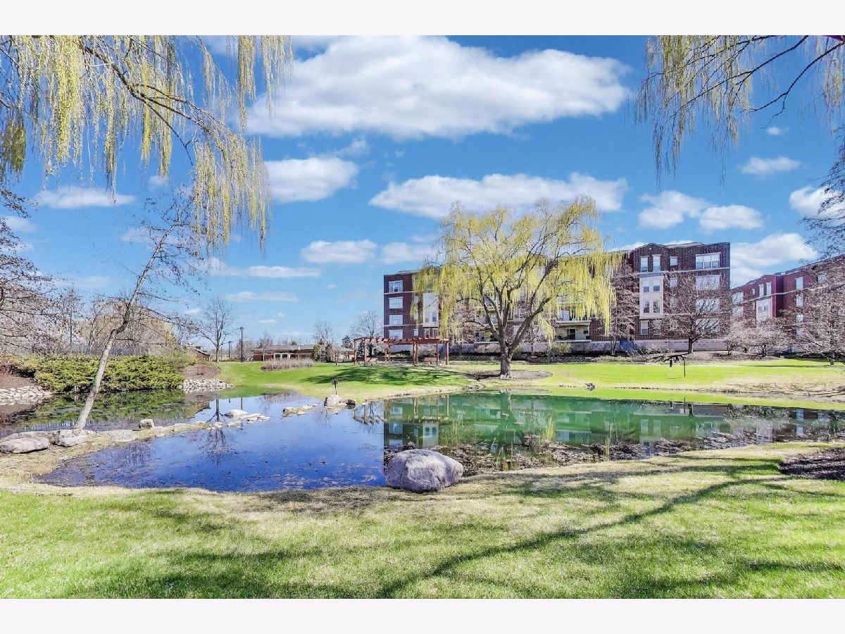 Townhomes & Condos Sold Astor Place Wheeling Illinois, 715 Astor