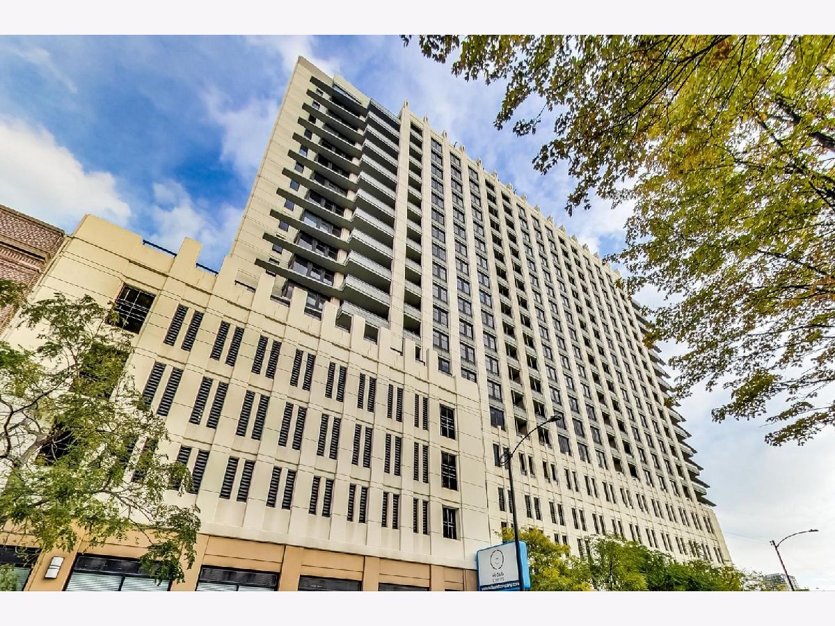 Condominiums Rented Vision On State Chicago Illinois, 1255 State