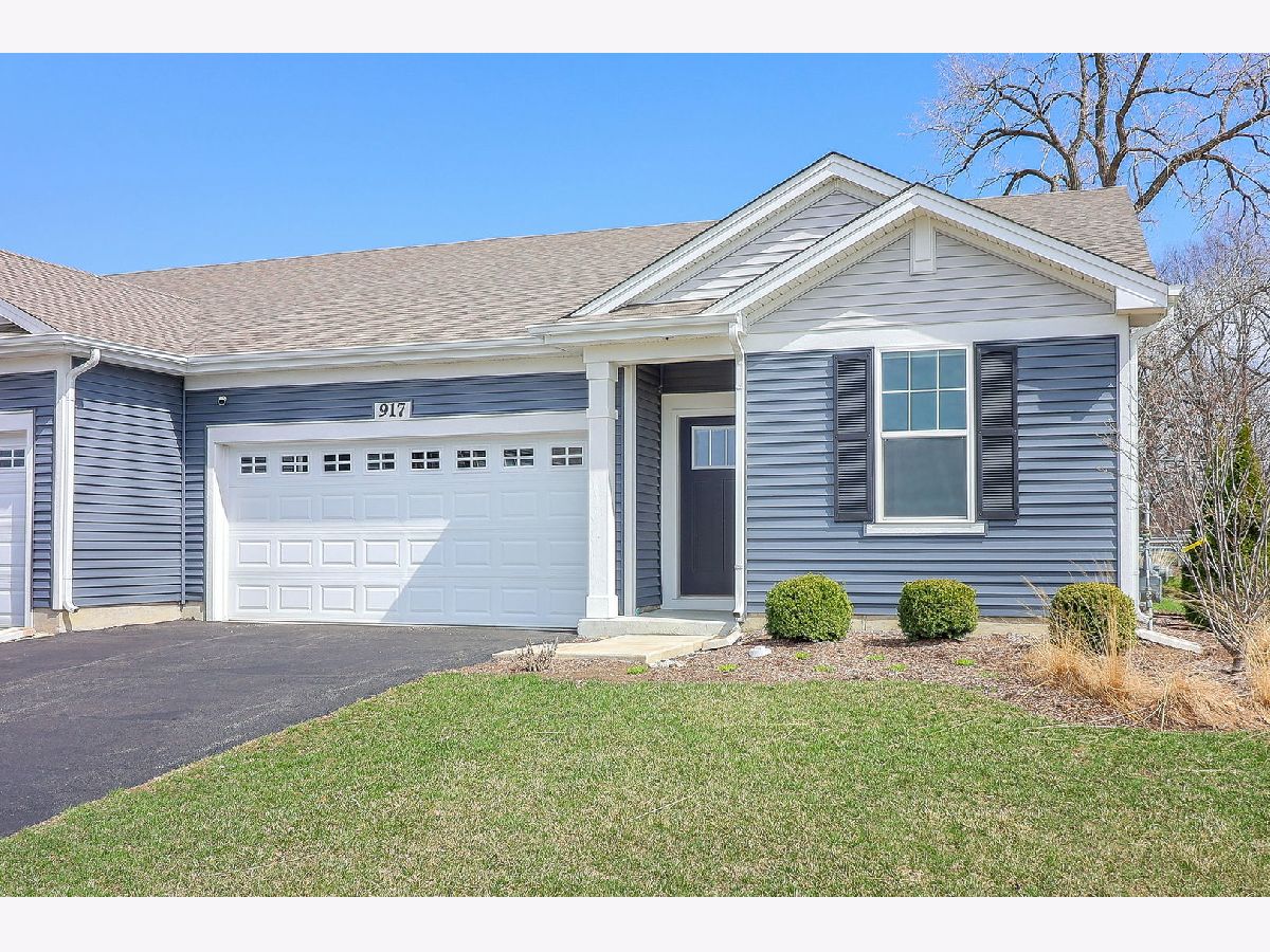 Condos & Townhomes & Homes Sold Lincoln Valley North Aurora Illinois, 917 Fitzwilliam