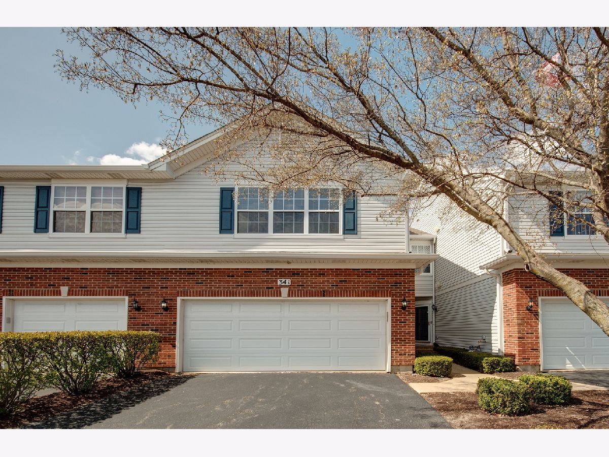 Townhomes & Homes Rented Blackberry Knoll Oswego Illinois, 341 Grapevine