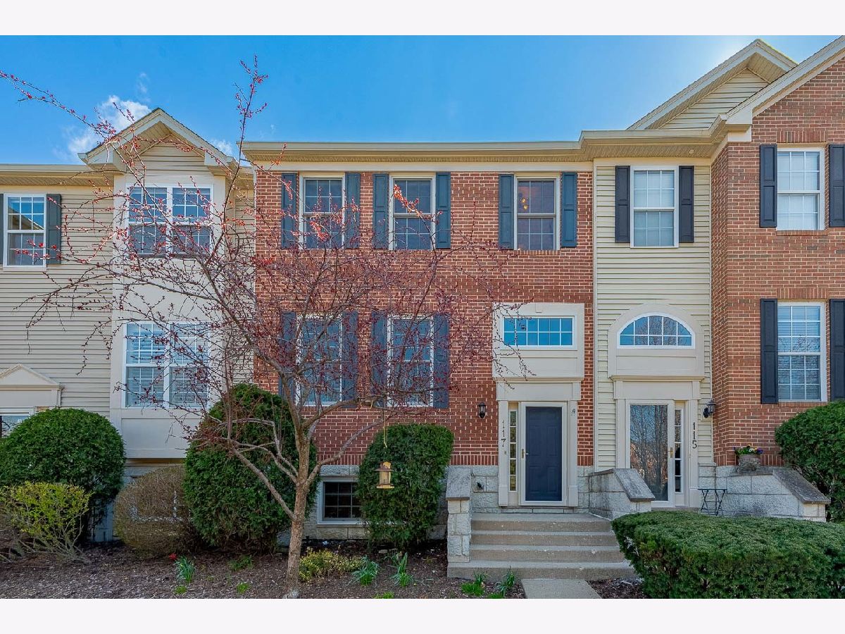 Townhomes Sold Renaissance Station Willow Springs Illinois, 117 Rachel