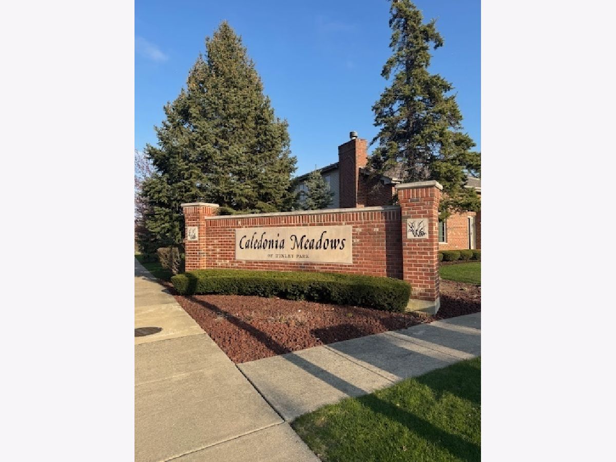 Townhomes Sold Caledonia Meadows Tinley Park Illinois, 9301 Finbar