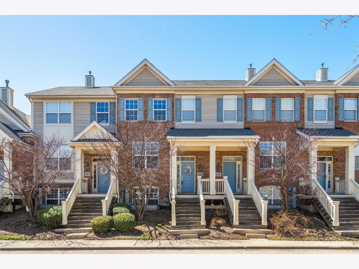Townhomes Sold Asbury Place Bartlett Illinois, 388 Bradbury