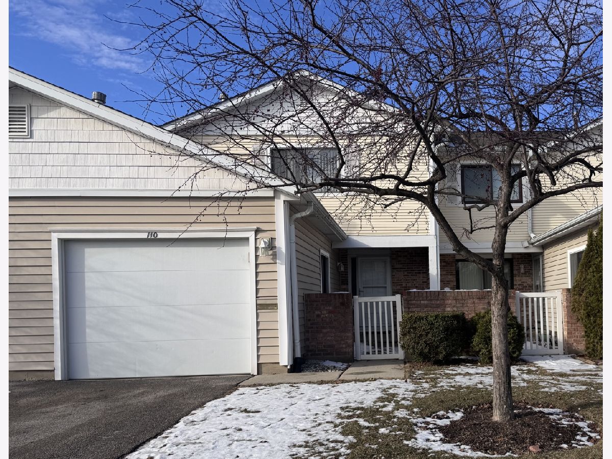 Townhomes & Condos Sold Dunbar Lakes Schaumburg Illinois, 110 Waterford