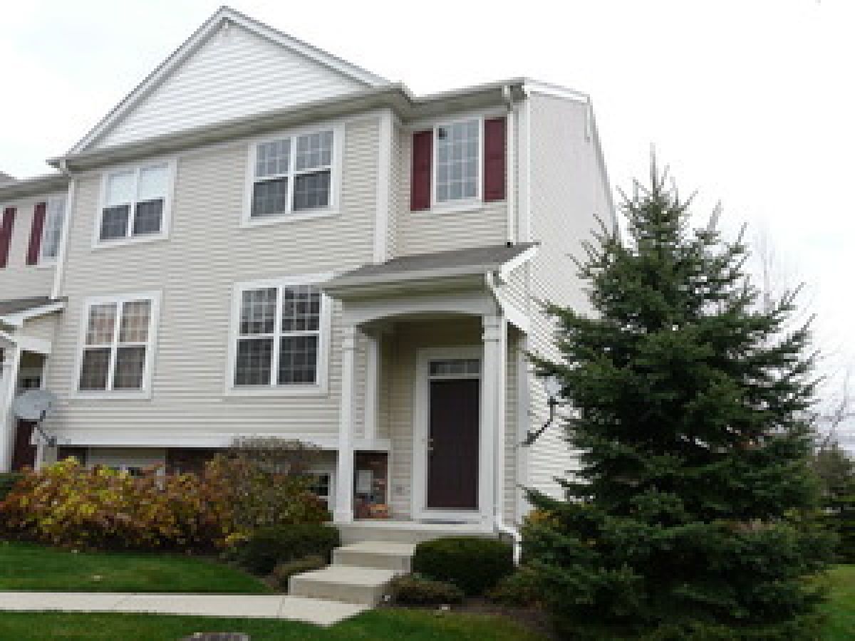  Rented Volo Illinois, 233 Terra Firma