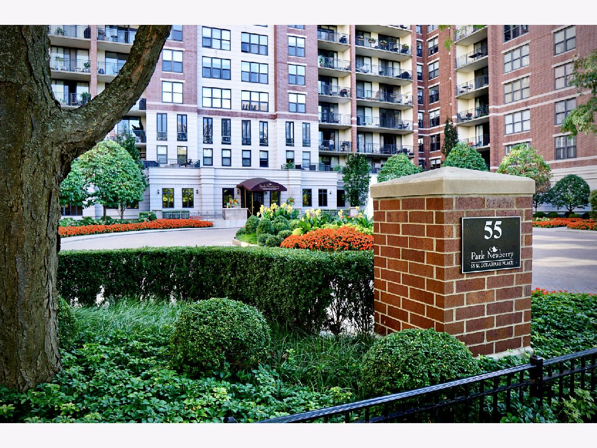 Condominiums For Sale Park Newberry Chicago Illinois, 55 Delaware Place