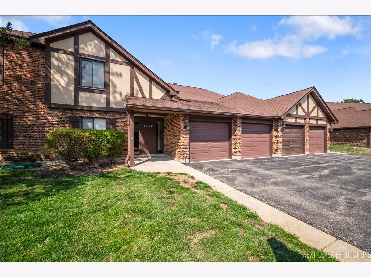 Condos & Townhomes Sold Briarcliffe Lakes Wheaton Illinois, 1707 Lakecliffe