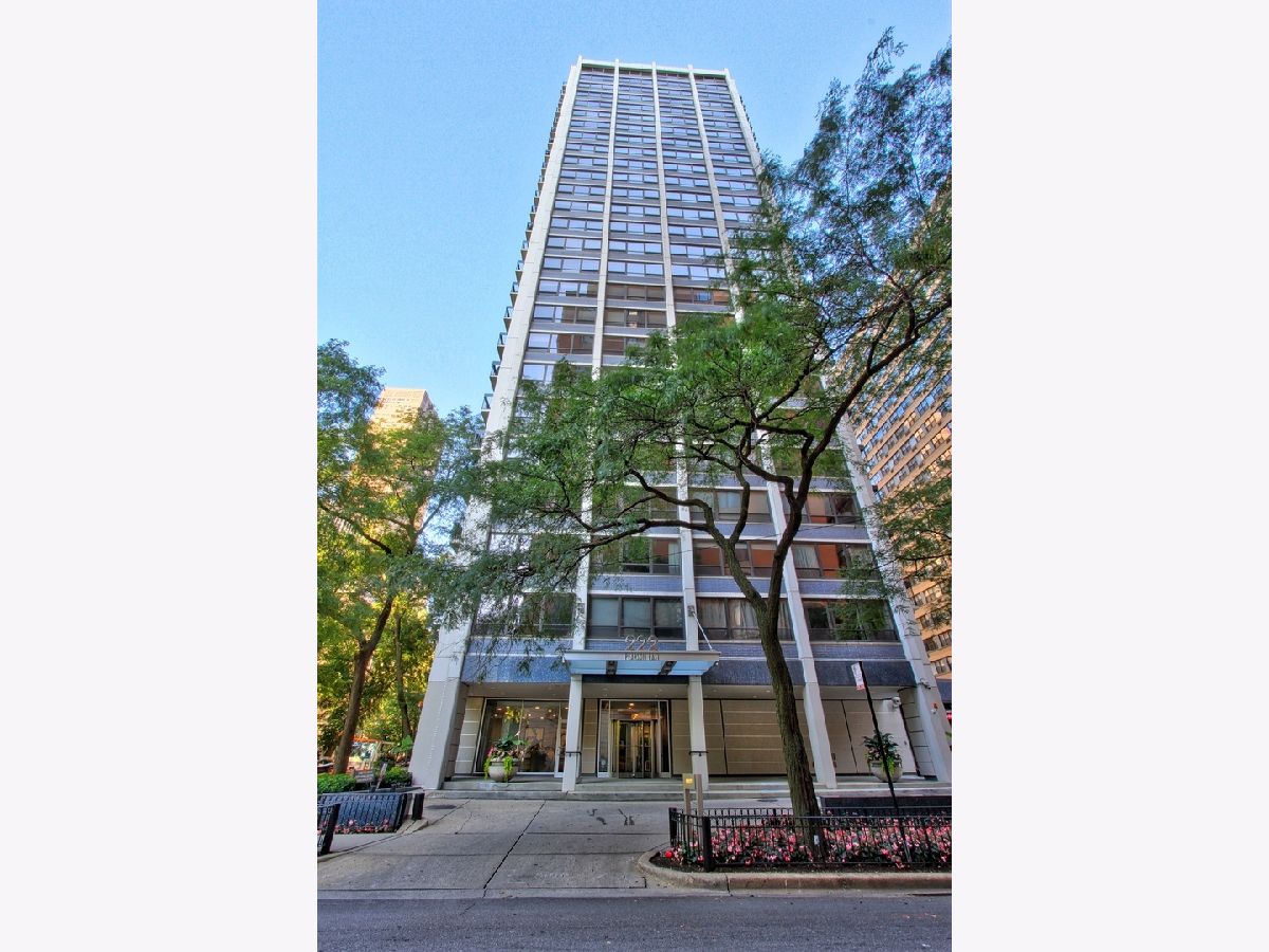 Condominiums Rented Pearson On The Park Chicago Illinois, 222 Pearson