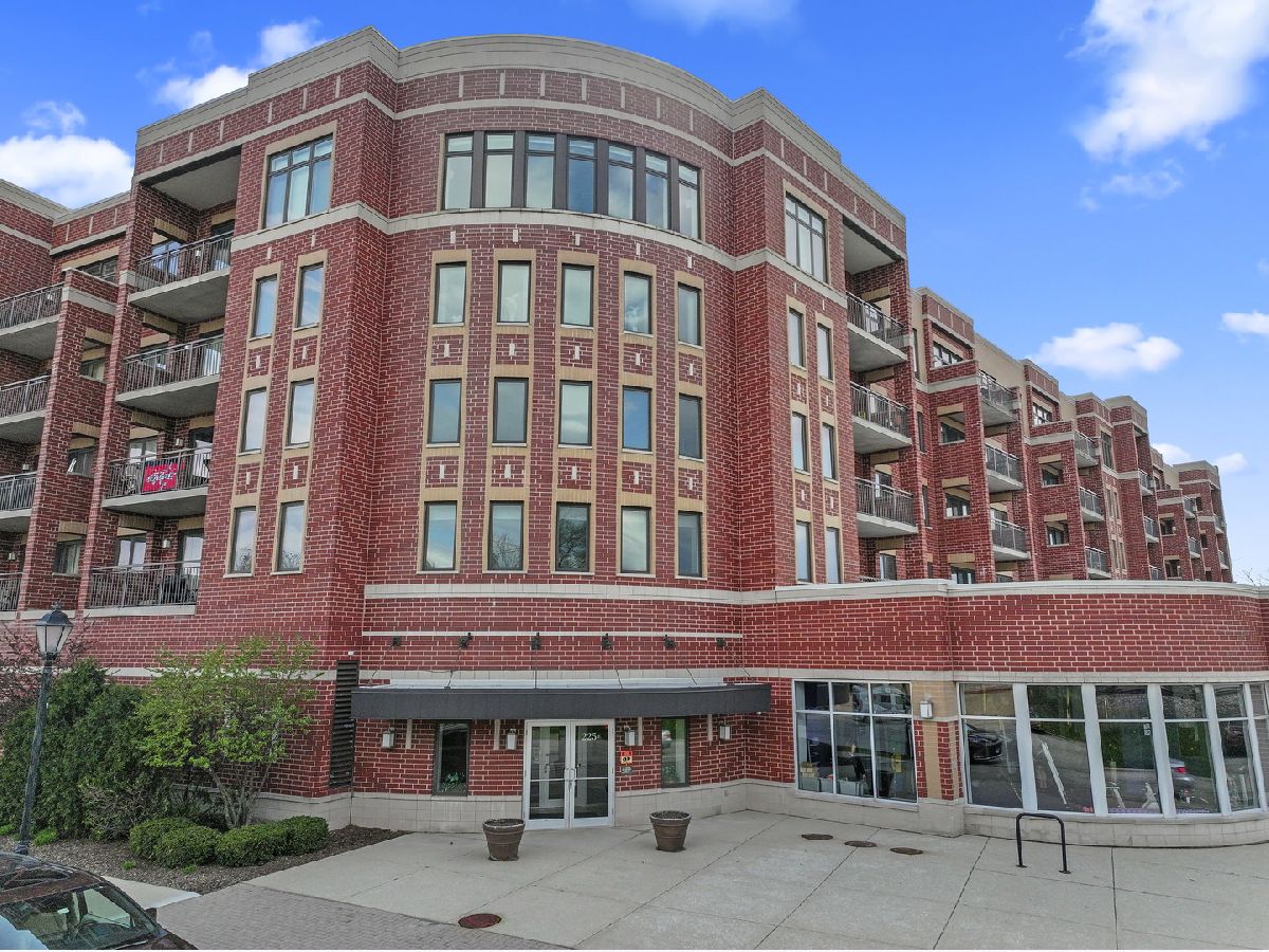 Condominiums Sold Park Street Crossing Roselle Illinois, 225 Main