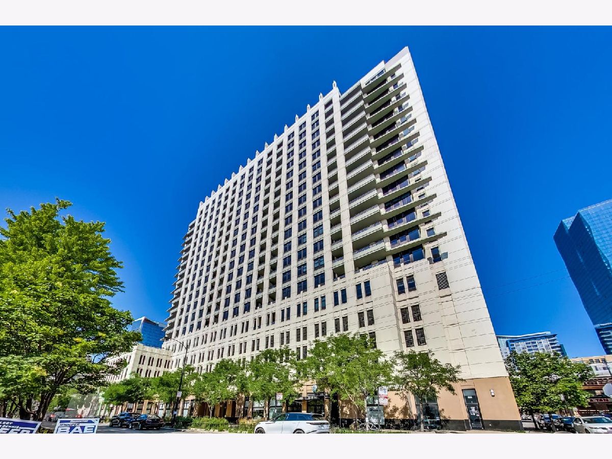 Condominiums Rented Vision On State Chicago Illinois, 1255 State