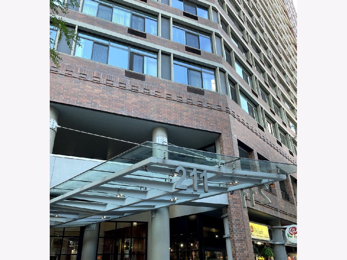 Condos & Townhomes Rented Streeterville Chicago Illinois, 211 Ohio