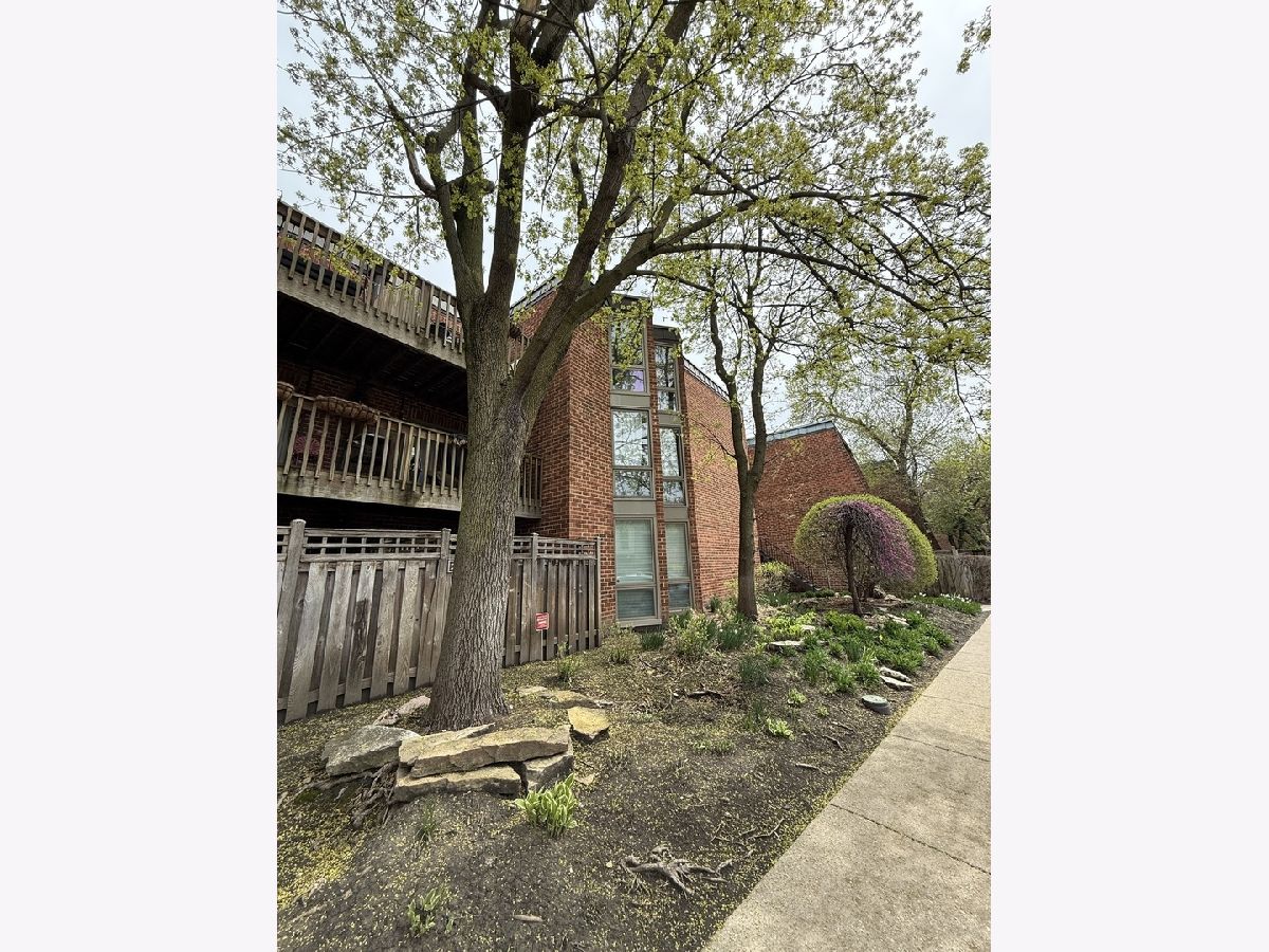 Condos & Townhomes Rented Oz Park Gardens Chicago Illinois, 2045 Larrabee