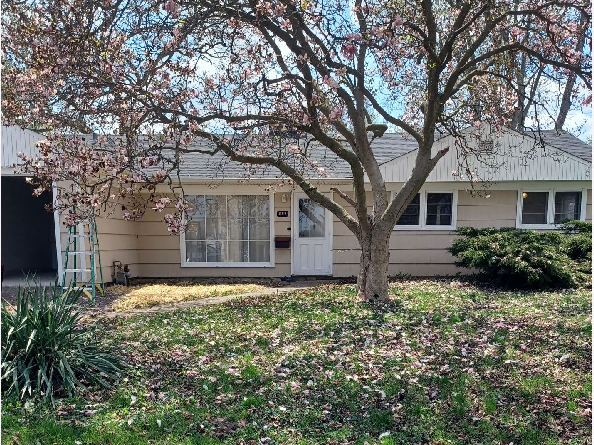 Rented Park Forest Illinois, 239 Sauk