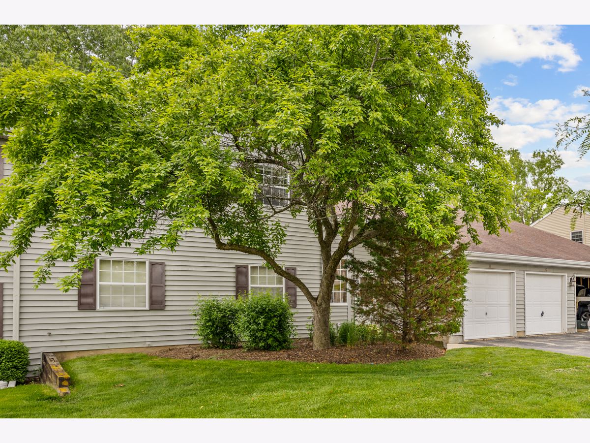  Rented Streamwood Illinois, 27 Victoria