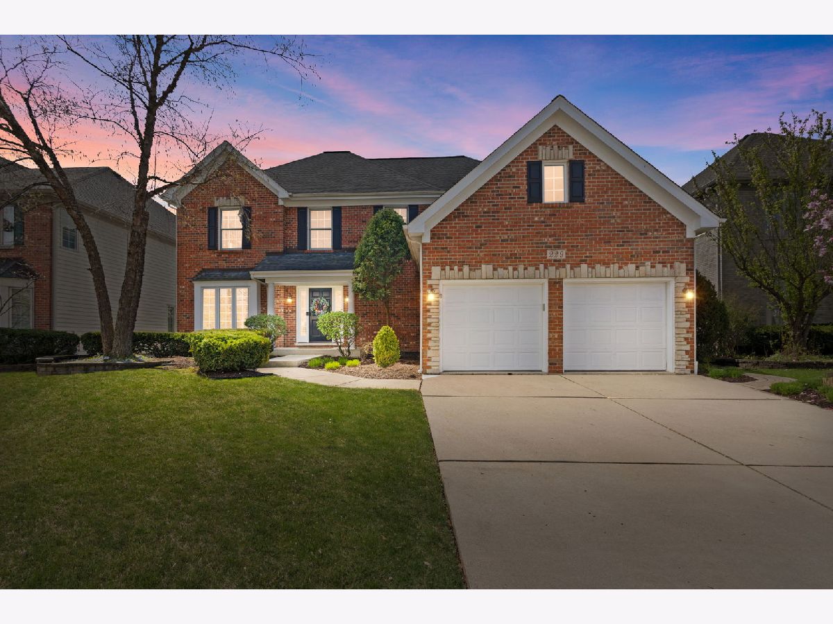  Rented Westmont Illinois, 229 57th