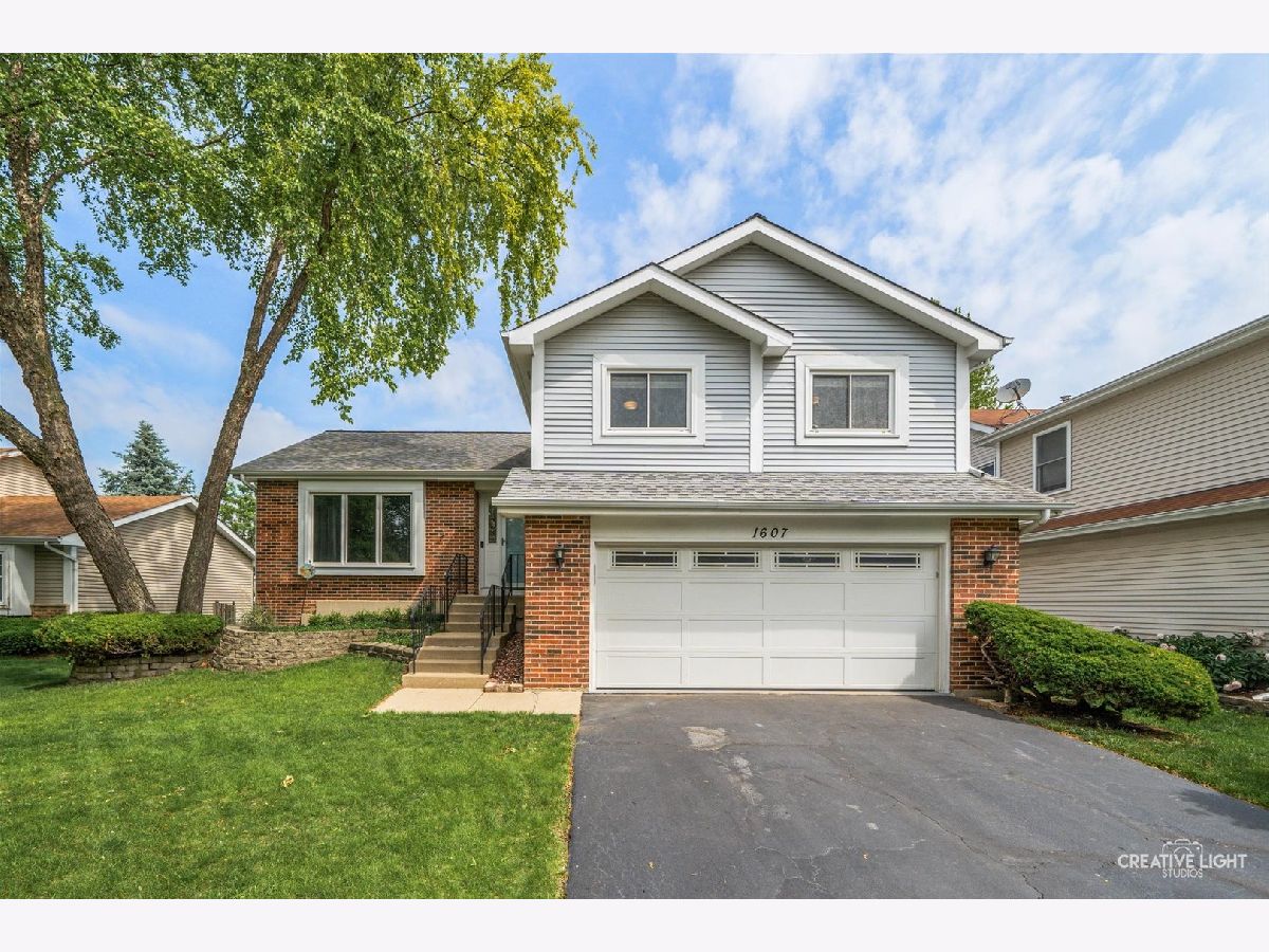Homes & Townhomes Sold Brookdale Naperville Illinois, 1607 Terri