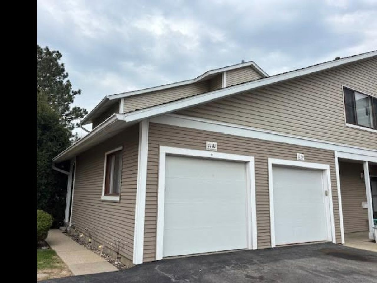 Townhomes & Condos Sold Cunningham Courts Palatine Illinois, 1141 Randville