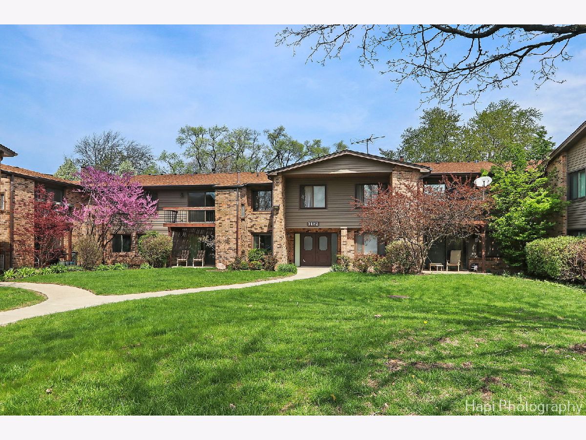 Condominiums Sold Randville Palatine Illinois, 1132 Randville