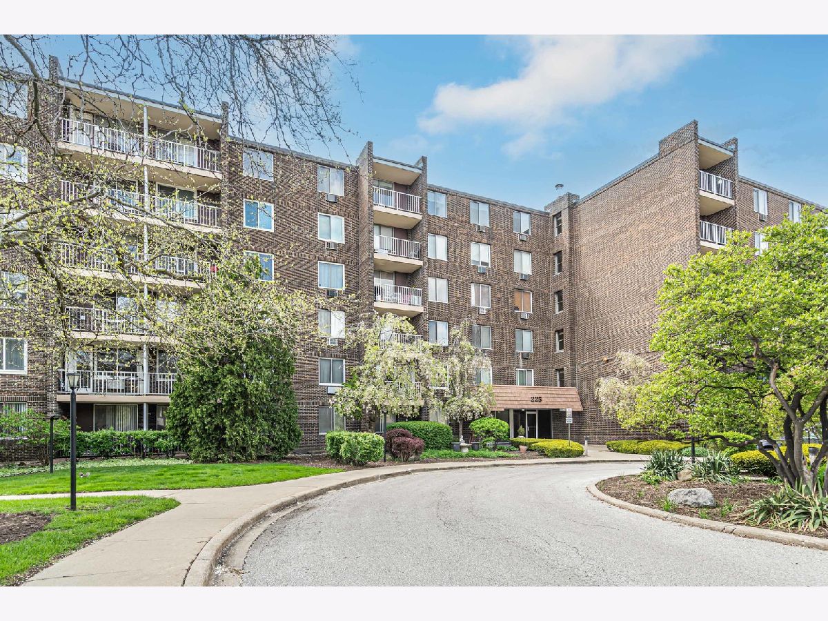 Condominiums Sold Willow Creek Palatine Illinois, 225 Rohlwing