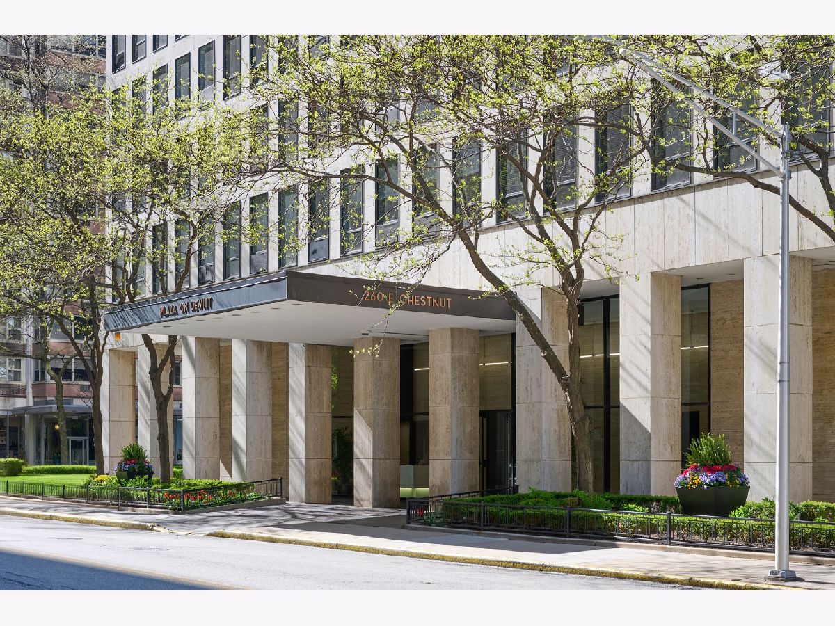 Condominiums Sold Plaza On Dewitt Chicago Illinois, 260 Chestnut