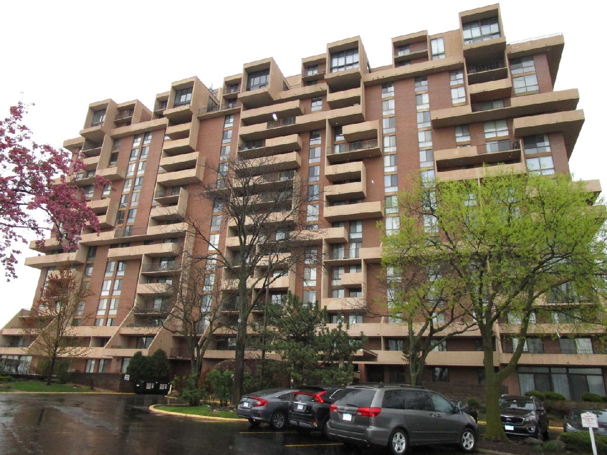 Condos & Townhomes For Sale Dominion Tower Wood Dale Illinois, 465 Dominion Drive