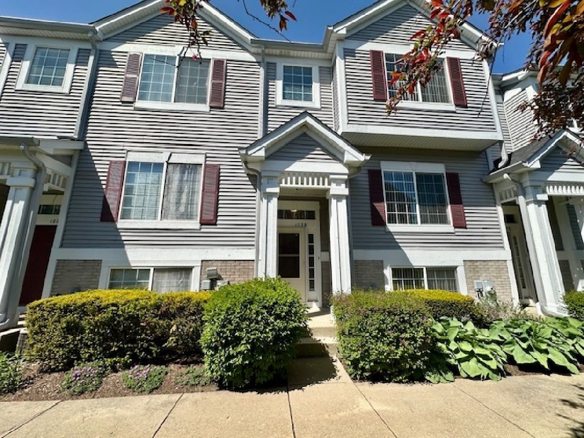 Townhomes Rented The Enclave Bolingbrook Illinois, 122 Enclave