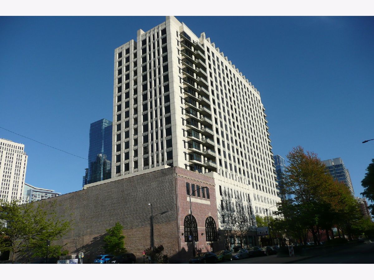 Condominiums Rented Vision On State Chicago Illinois, 1255 State