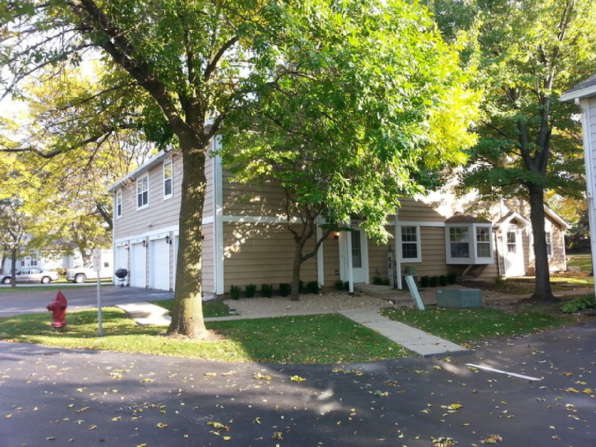 Townhomes & Condos Rented Cornell Lakes Palatine Illinois, 406 Cambridge