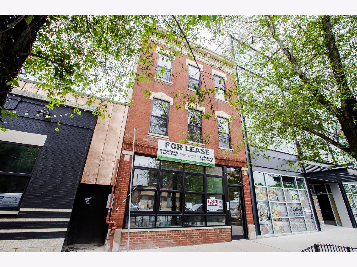 Condos & Townhomes & Homes Rented Wicker Park Chicago Illinois, 1809 Division