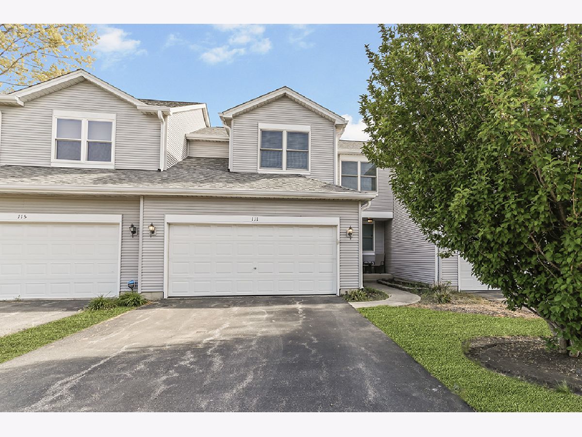 Townhomes & Condos Sold Woodland Lakes North Aurora Illinois, 111 Woodland