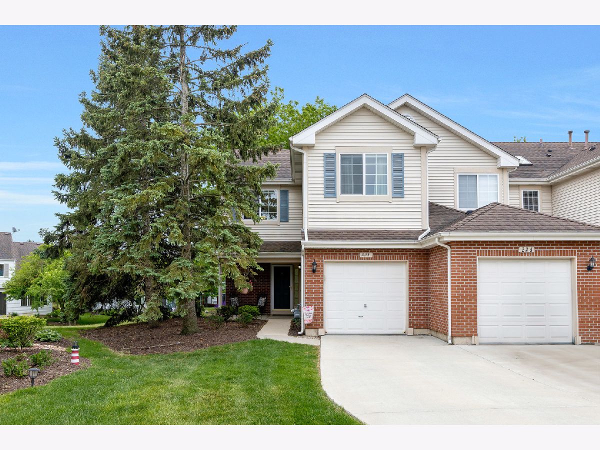 Townhomes & Condos Sold Red Rock Schaumburg Illinois, 224 Camel Bend