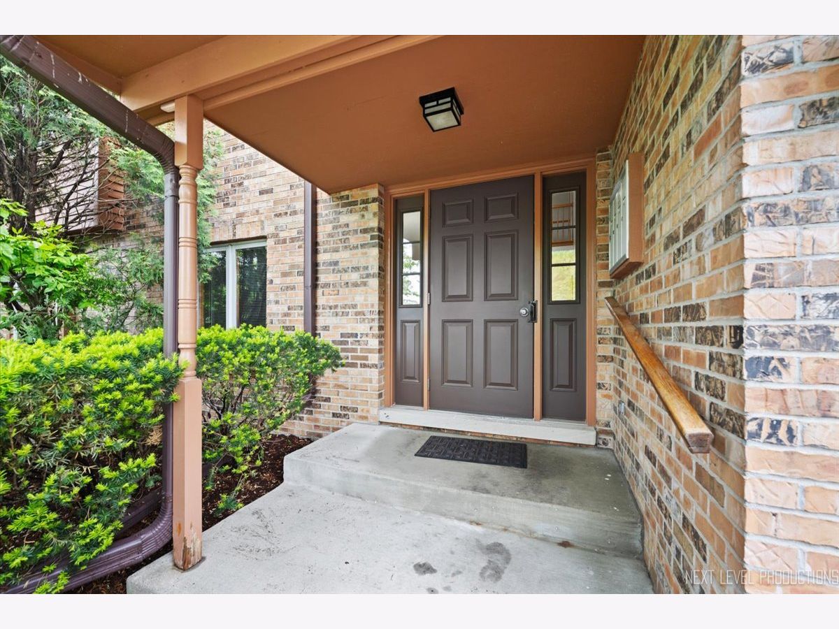 Condominiums Sold Creekside Court Naperville Illinois, 963 West