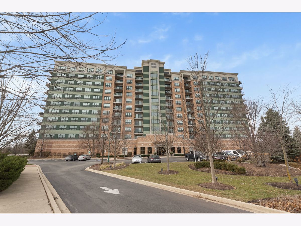 Homes & Condos & Townhomes Sold Seven Bridges Woodridge Illinois, 6420 Double Eagle