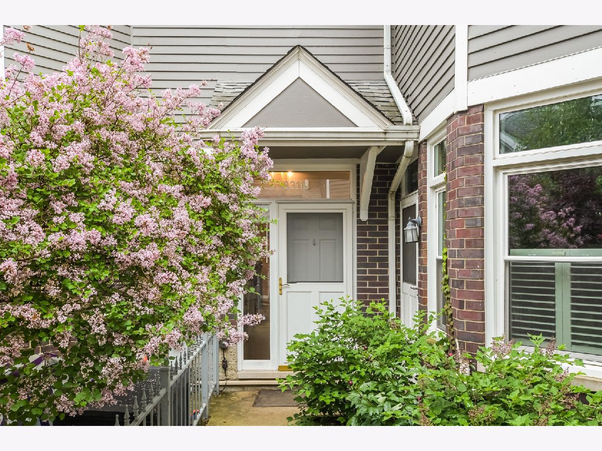 Townhomes Rented Hawthorne Court Chicago Illinois, 3311 Racine