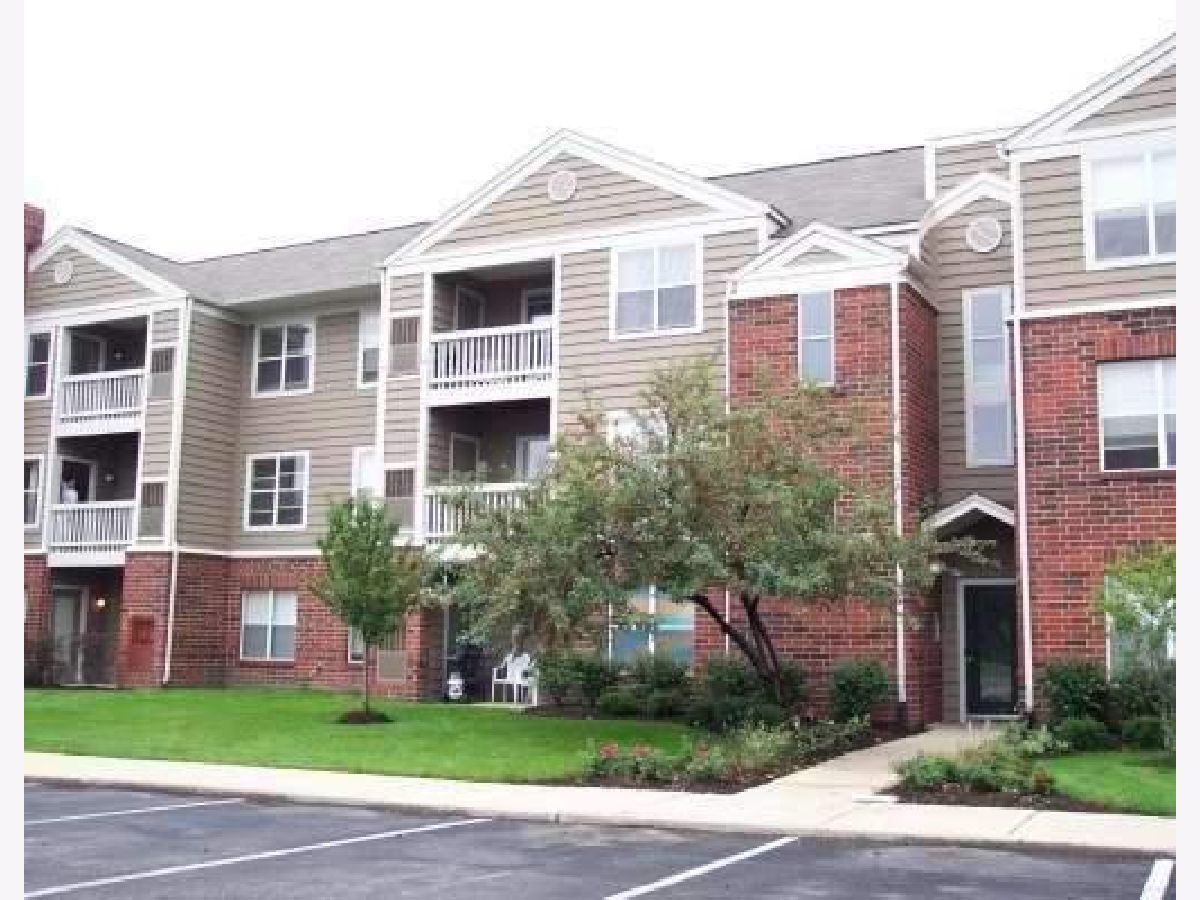  Rented Bloomingdale Illinois, 213 Glengarry
