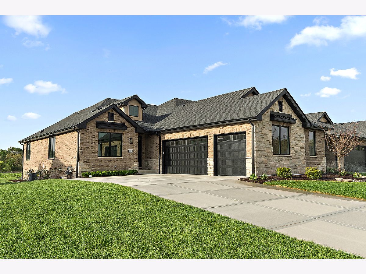 Condos & Townhomes Sold Waterford Pointe Villas Orland Park Illinois, 11110 Lizmore
