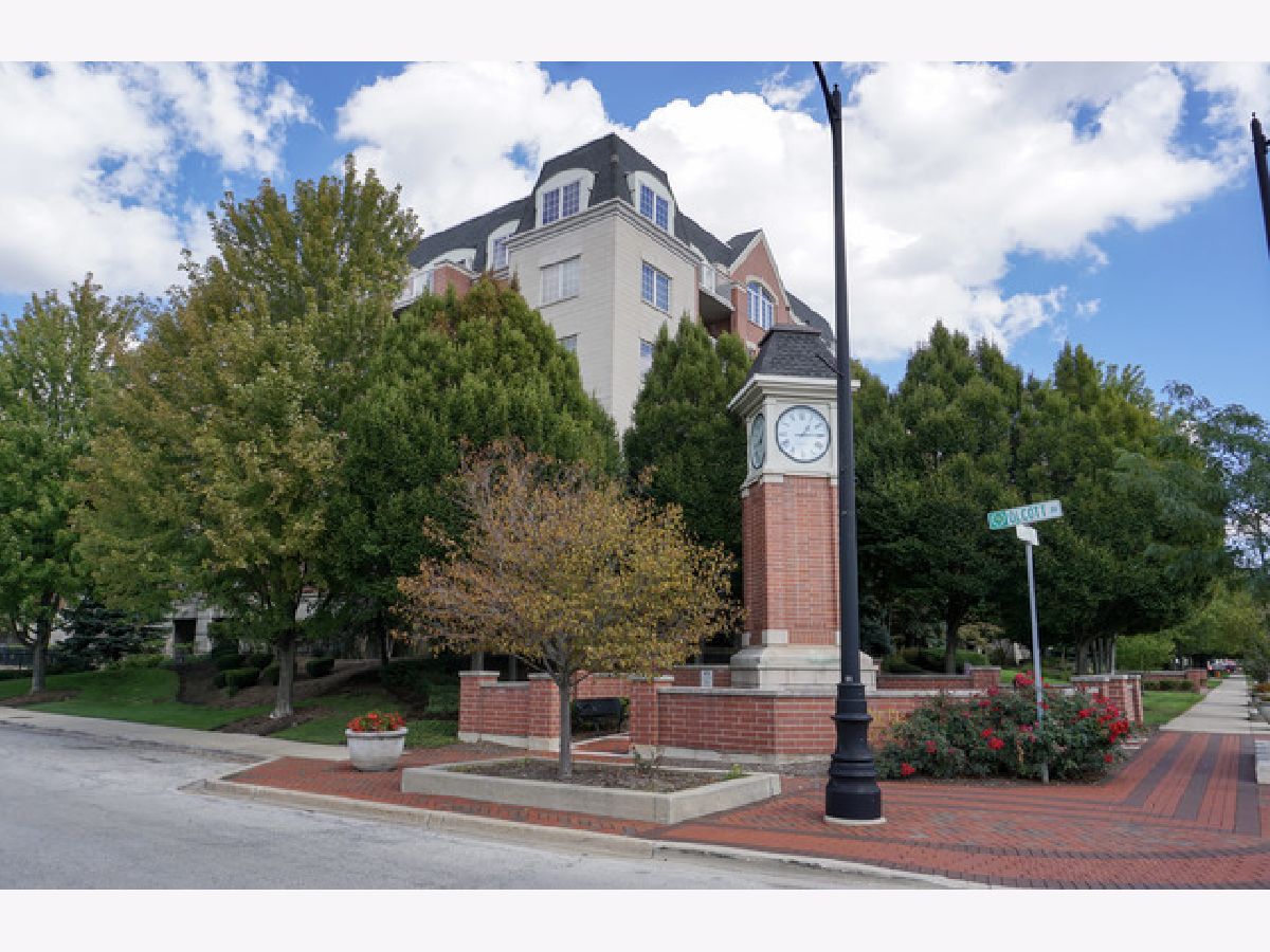  Sold Harwood Heights Illinois, 4811 Olcott