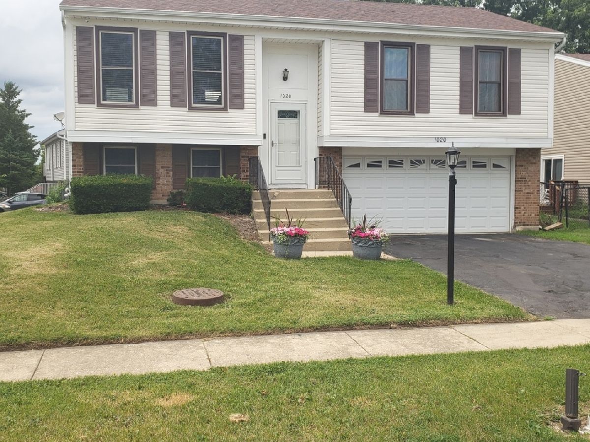 Homes & Condos & Townhomes Sold Waterbury Roselle Illinois, 1020 Woodside