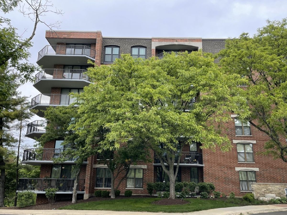  Sold Naperville Illinois, 509 Aurora
