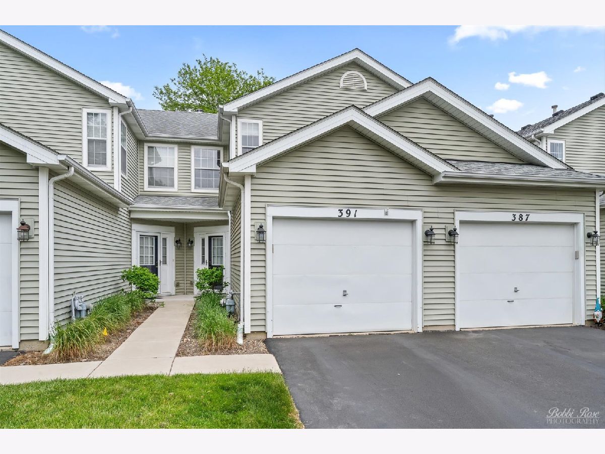 Townhomes Sold Meribel Schaumburg Illinois, 391 Maidstone