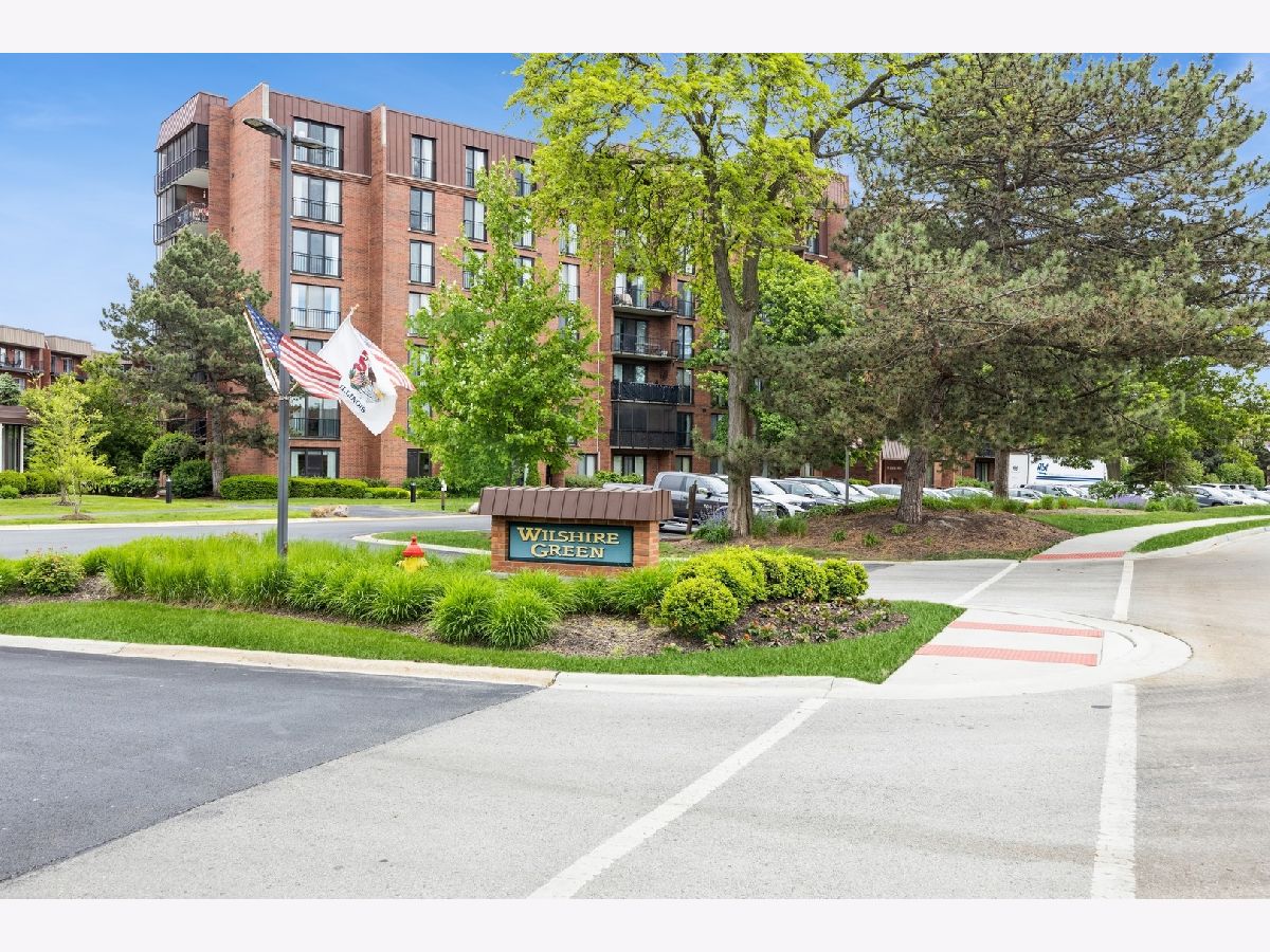 Condominiums Sold Wilshire Green Indian Head Park Illinois, 111 Acacia