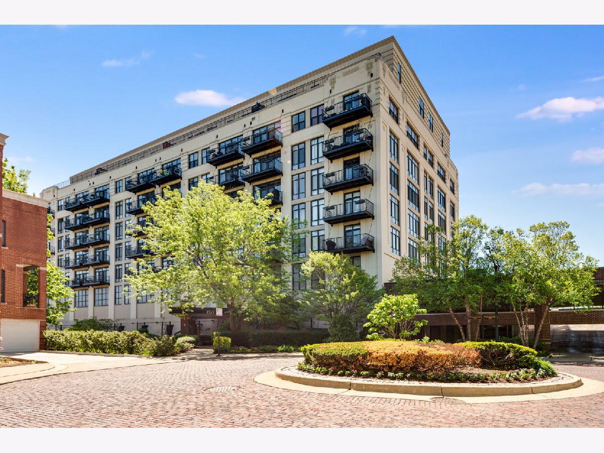Condos & Townhomes & Homes Rented University Village Chicago Illinois, 1525 Sangamon